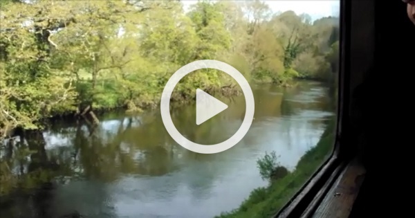 Devon Steam Railway