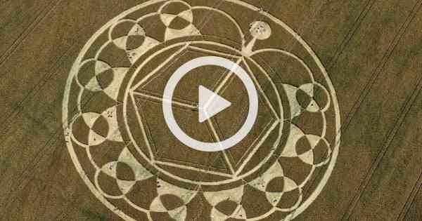 Monument Hill Crop Circle