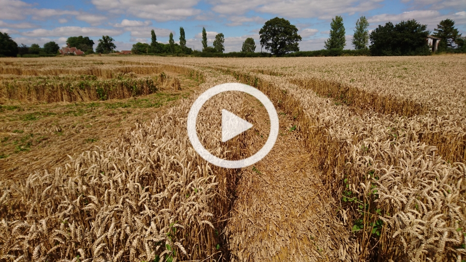 Ansty Crop Circle