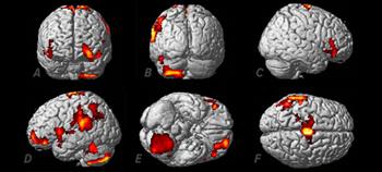 Scientists unlock mystery of out-of-body experiences